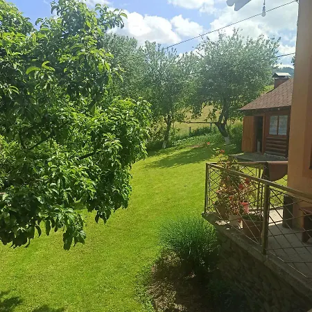 у василя Воловец