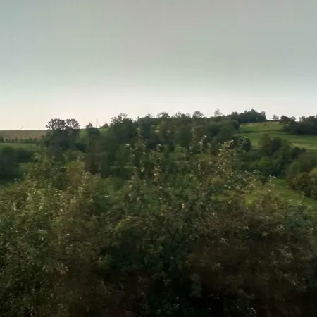 садиба