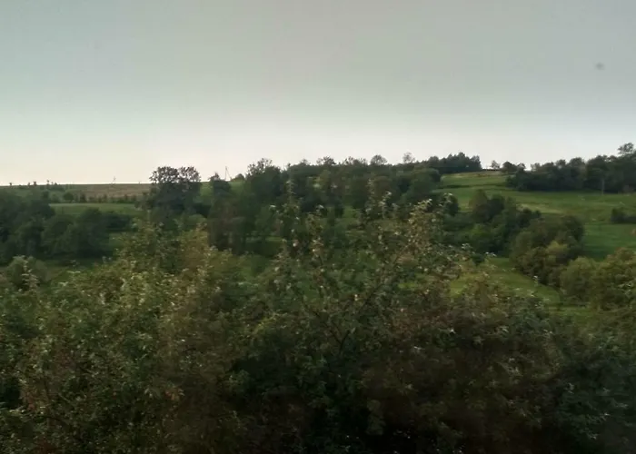садиба